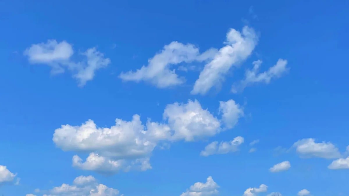Bluesky Throws Down the Gauntlet at Elon Musk's X