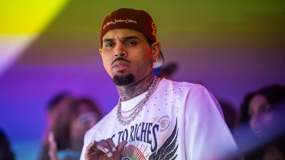 Chris Brown Dog-Mauling Trial Hit With Mistrial Over Juror Misconduct