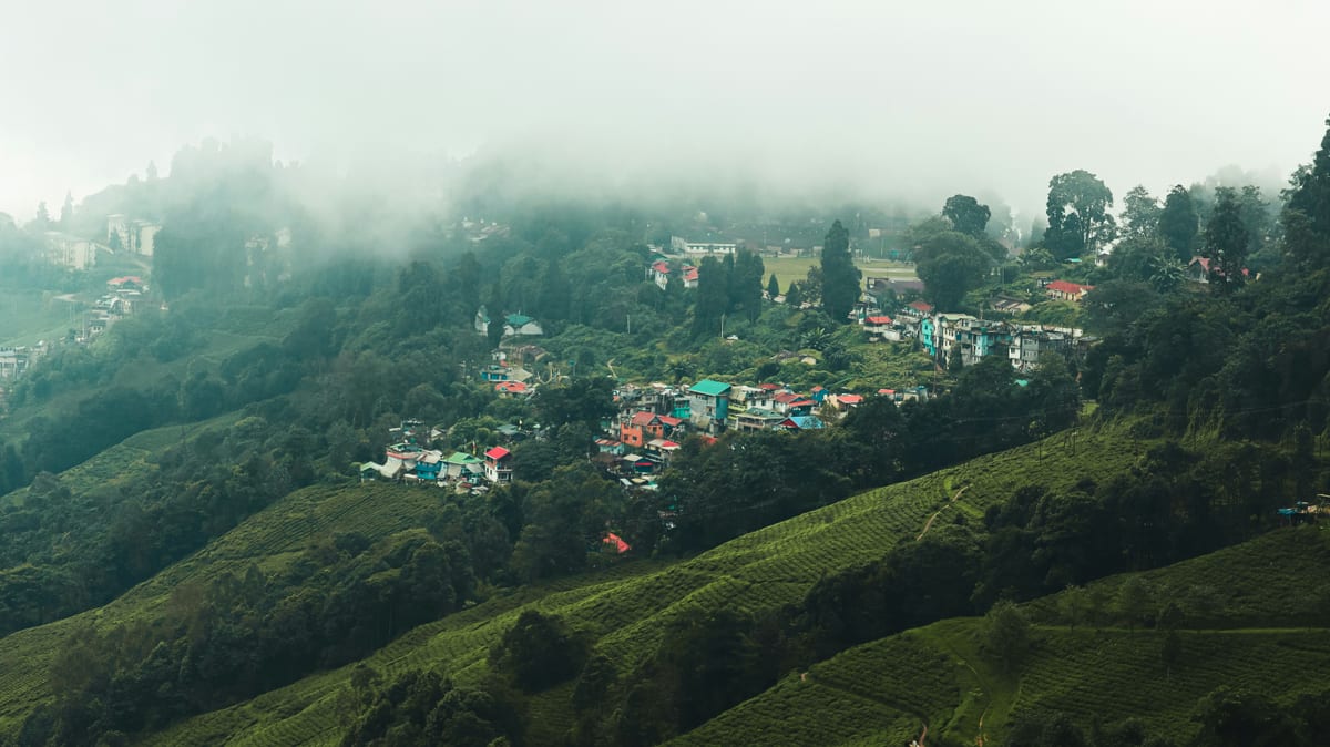 Darjeeling: Where Mist, Memory, and Mountains Meet Forever