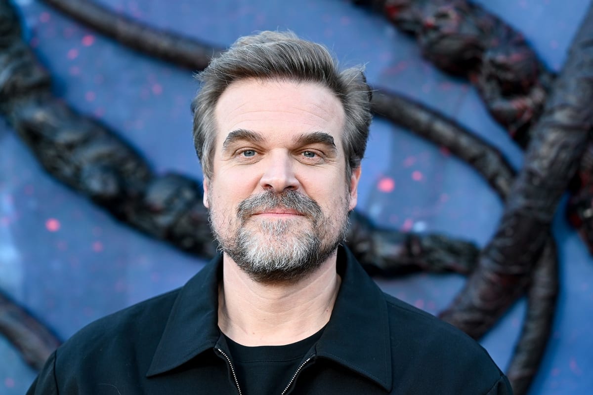 David Harbour Shuts Down Lily Allen's Marriage Album Claims
