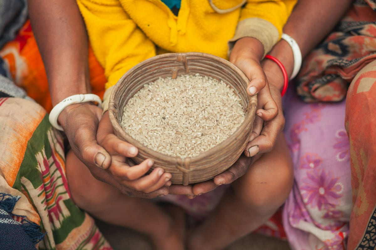Global Hunger Retreats Again, but the Measurement War Has Only Begun