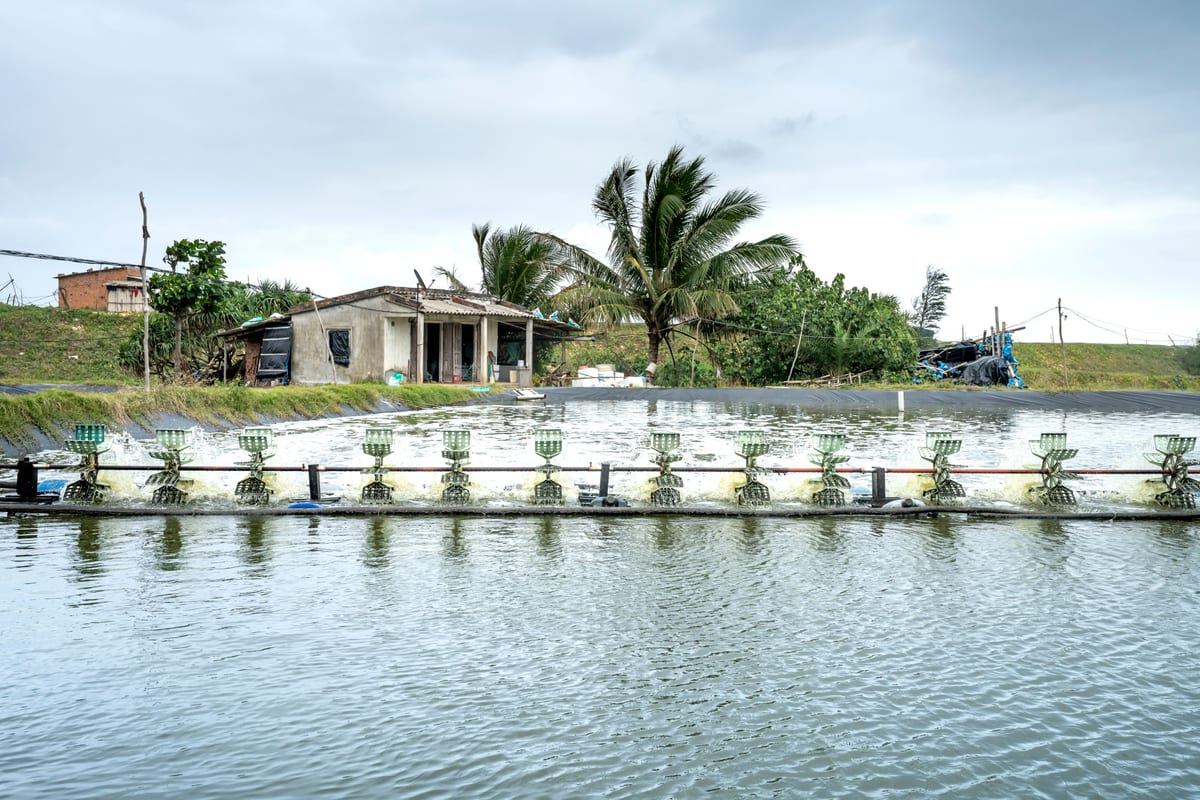 Scenic view of water wheels on rippled lake against aged construction and exotic trees under cloudy sky in countryside
