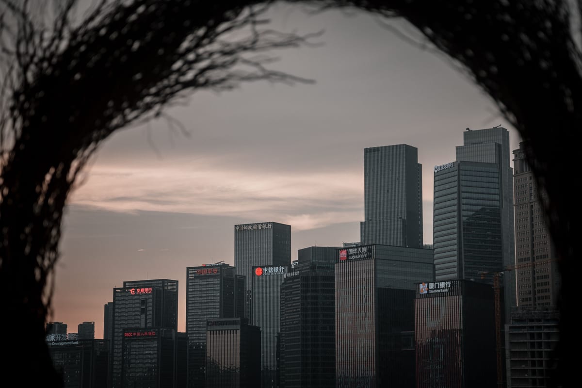 Dramatic skyline of Chongqing with skyscrapers framed through branches at twilight.
