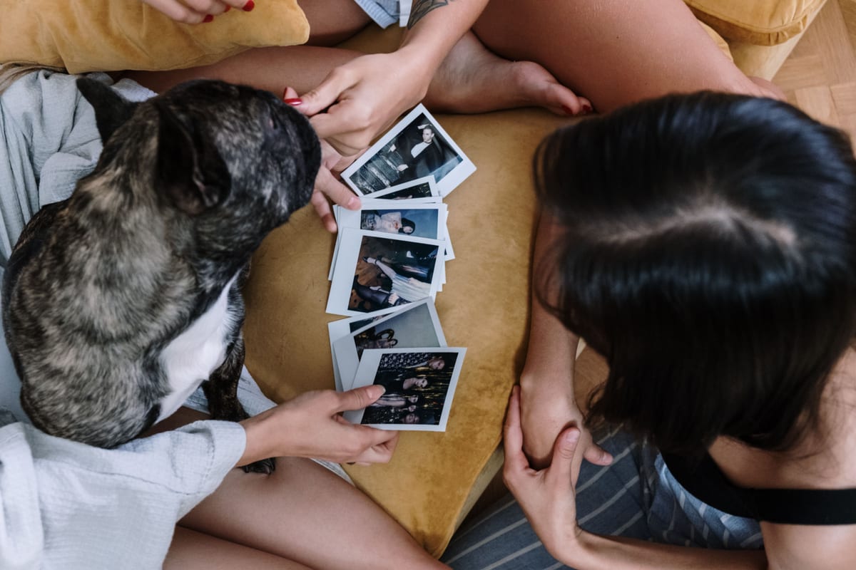 Friends in pajamas share polaroid memories indoors, joined by a curious French Bulldog.