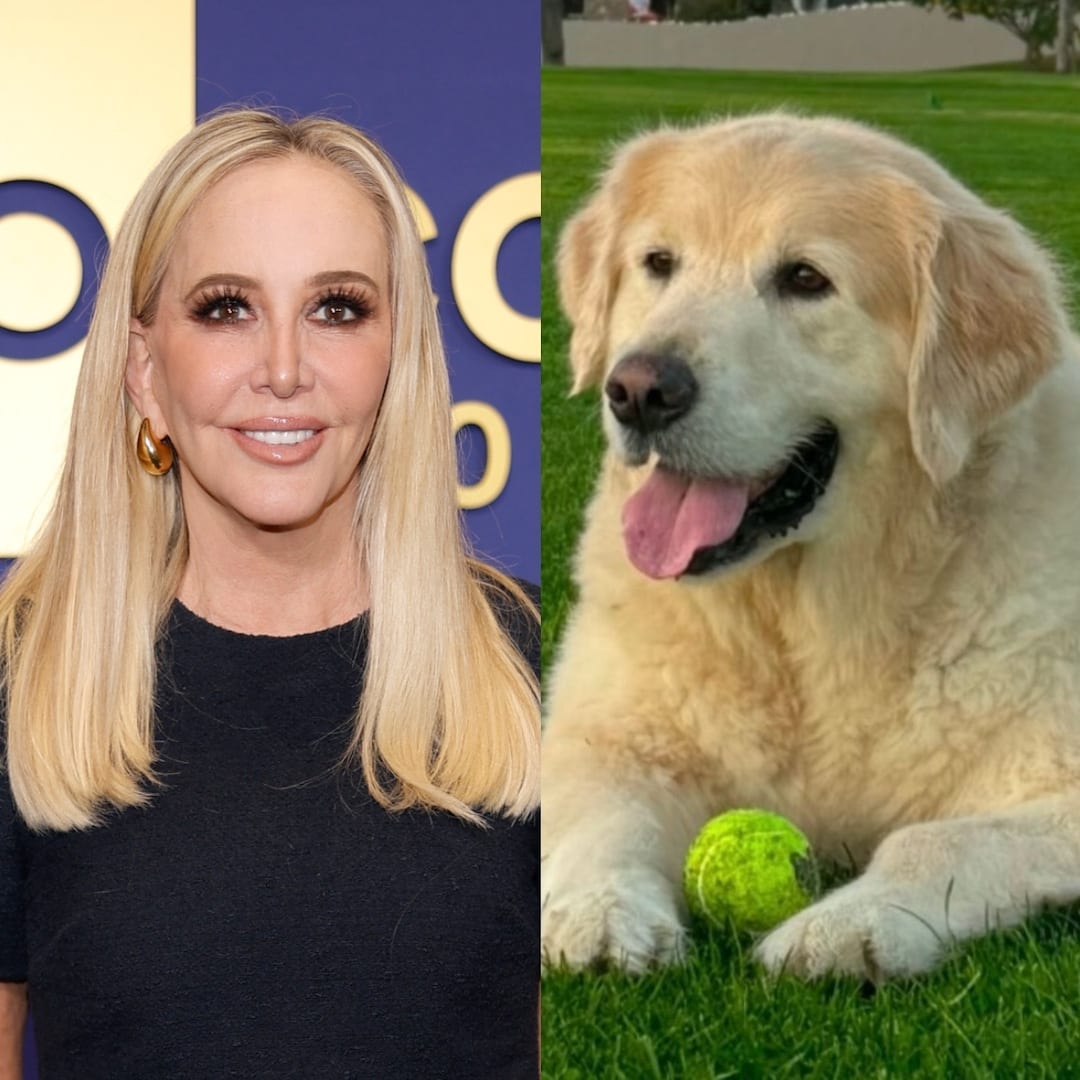 Shannon Beador Mourns Death of Golden Retriever Archie