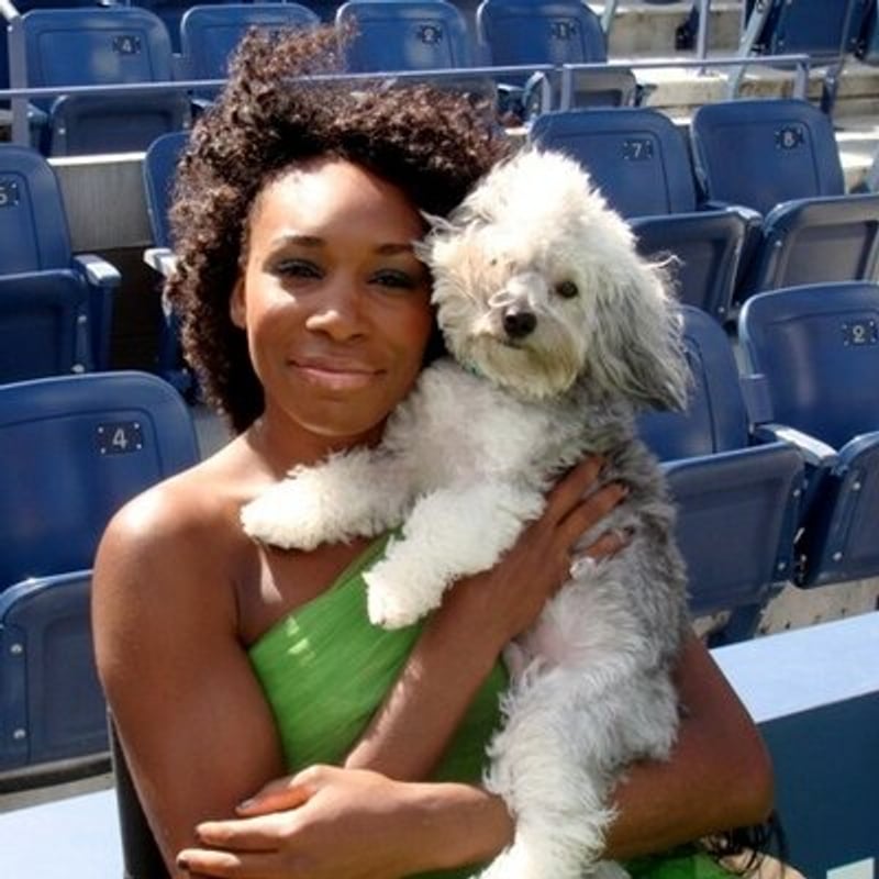Venus Williams — Venus Williams Turns WeWard Into Digital Detox Police