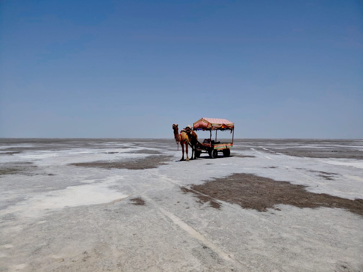 A camel cart stands in the vast, serene white desert landscape of the Rann of Kutch under a clear blue sky.