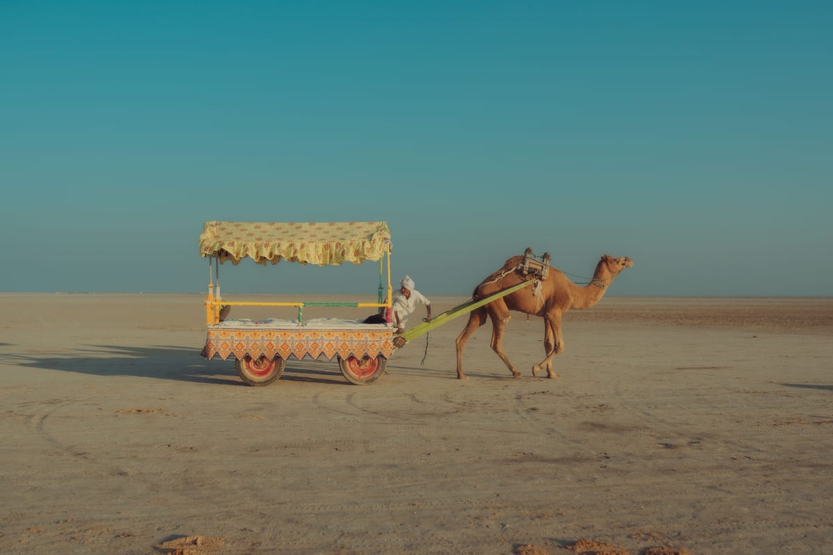 A colorful camel cart traversing the vast desert landscape of Rann of Kutch in Gujarat, India.